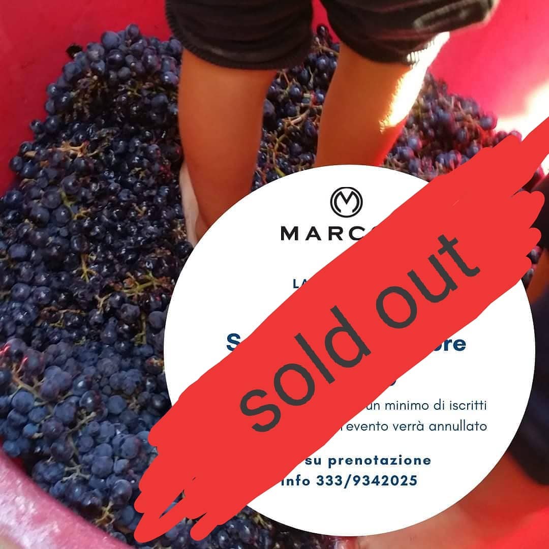 La Vendemmia dei Bambini