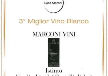 Verdicchio dei Castelli di Jesi Classico Superiore 2015 – Terzo Miglior Vino Bianco – Annuario dei Migliori Vini Italiani 2017